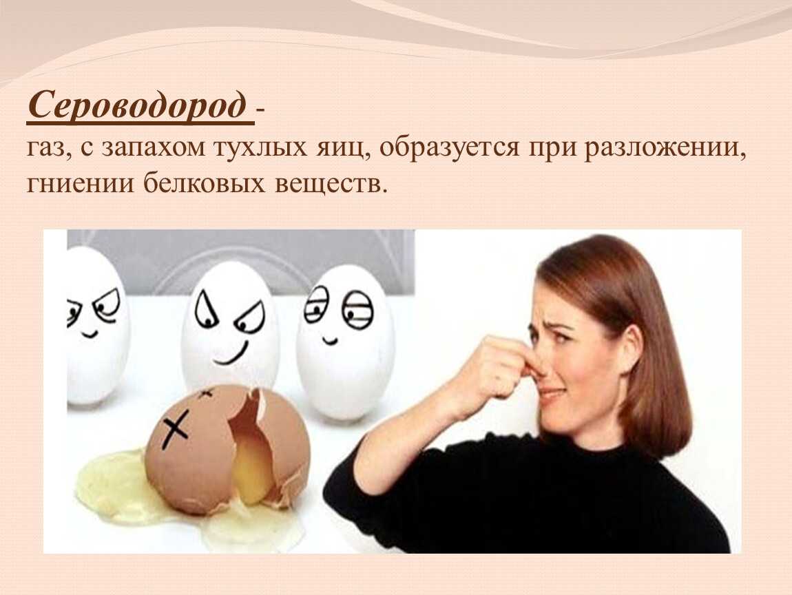 ✅ причины появления внутри автомобиля запаха тухлых яиц - o-telau.ru