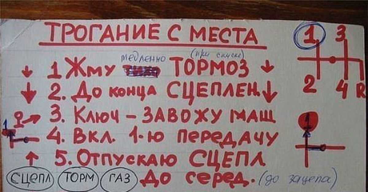 Автошкола: механика или автомат
