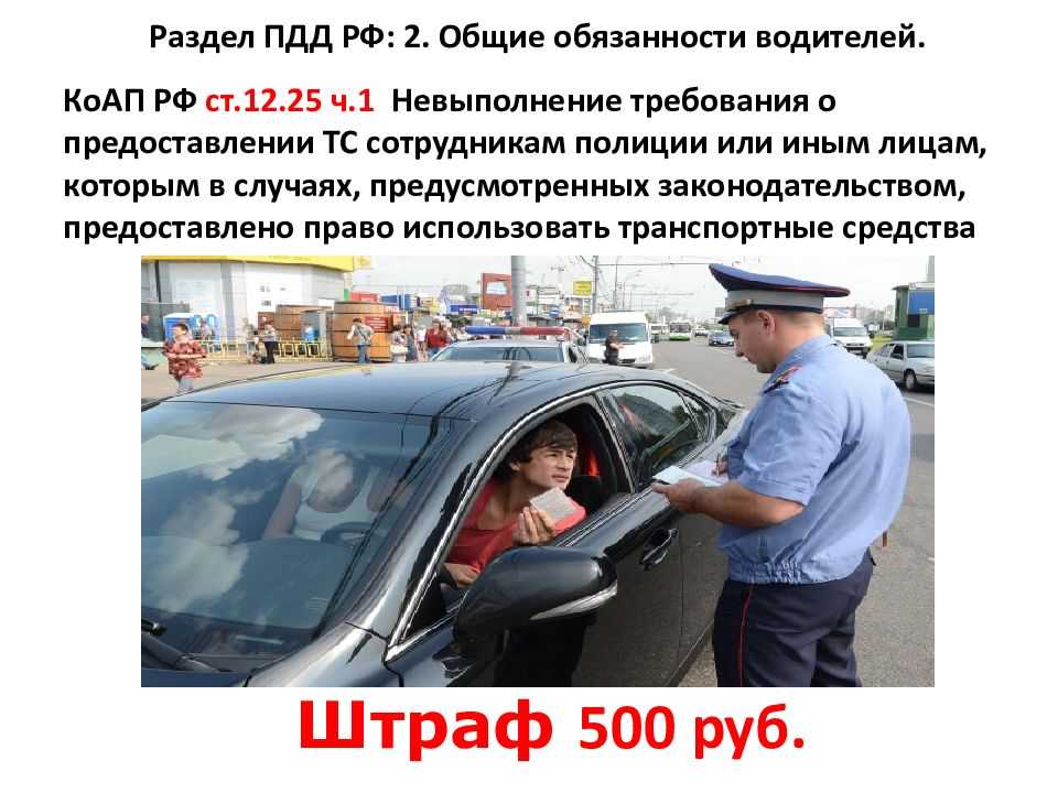 В день автомобилиста: пассажир, ты зачем отвлекаешь водителя? | авто-мото | школажизни.ру
